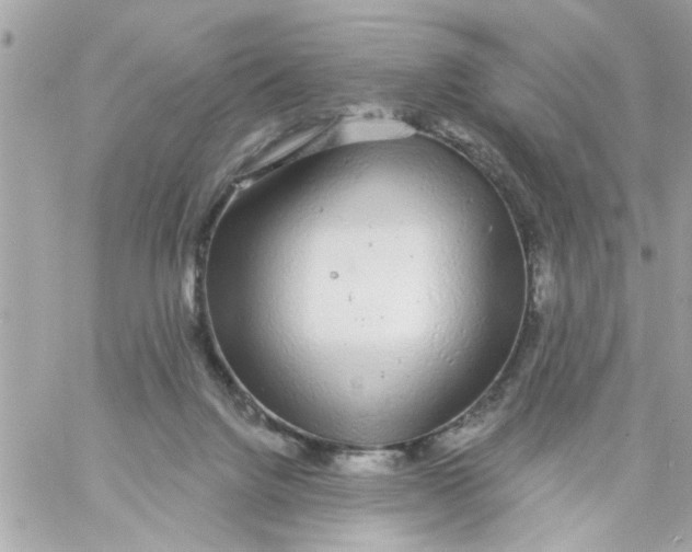 X0000057090072200510071922