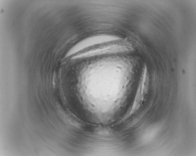 X0000057090073200510071922