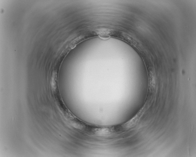 X0000057090074200510071922