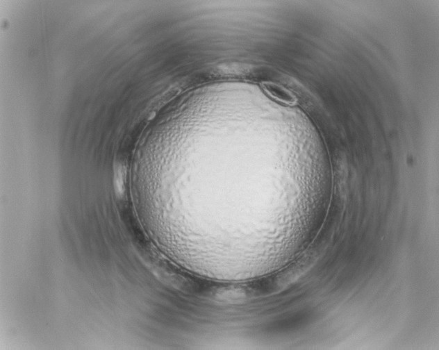 X0000057090075200510071922