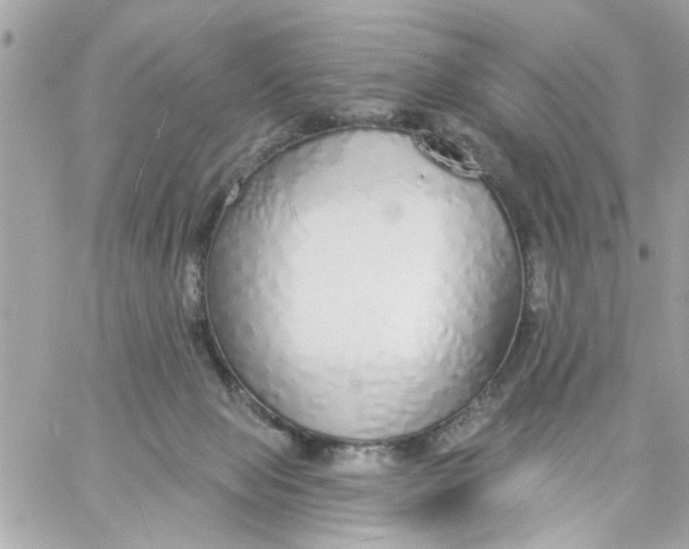 X0000057090077200510071922