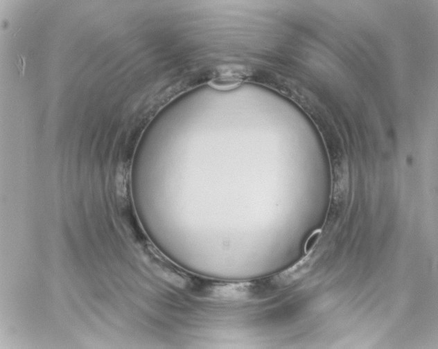 X0000057090078200510071922