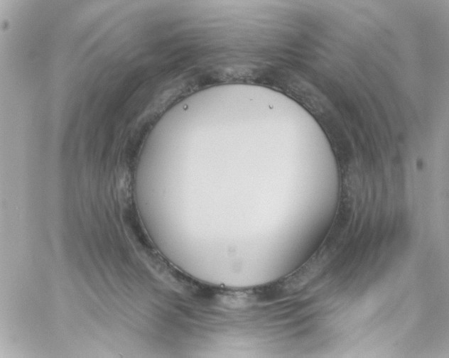 X0000057090079200510071922