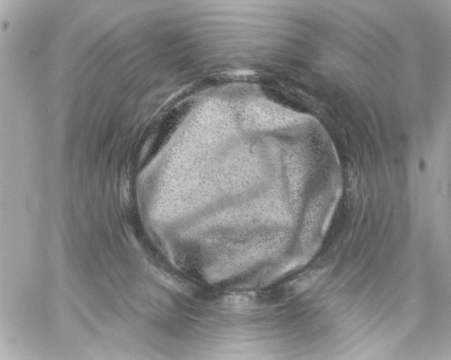 X0000057090080200510071922