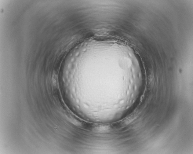 X0000057090081200510071922