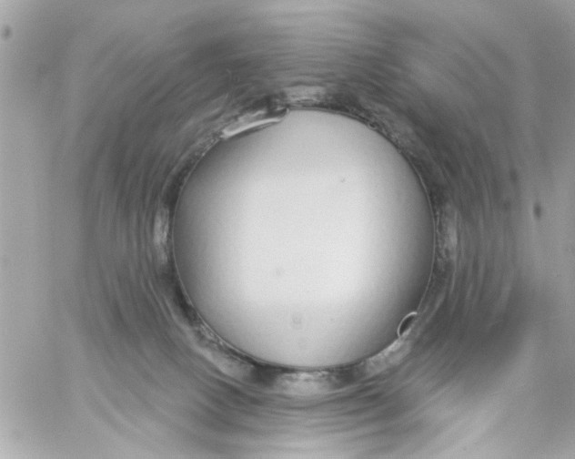 X0000057090082200510071922