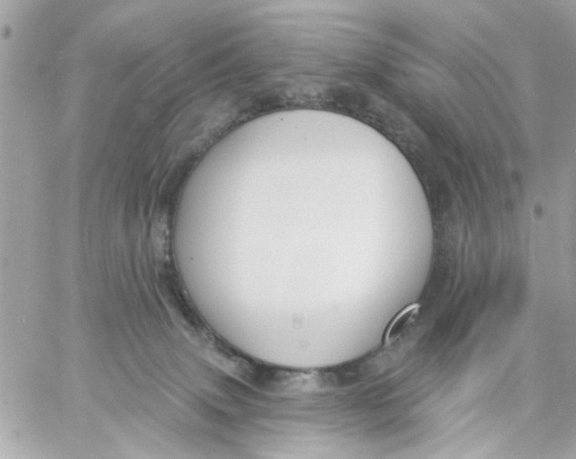 X0000057090083200510071922