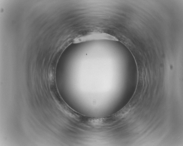 X0000057090084200510071922