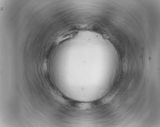 X0000057090085200510071922