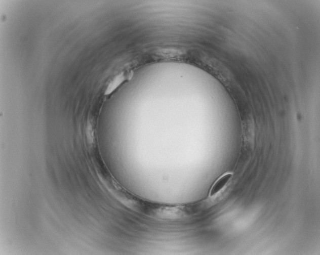 X0000057090086200510071922