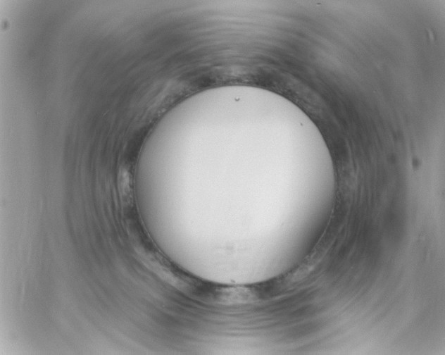 X0000057090087200510071922