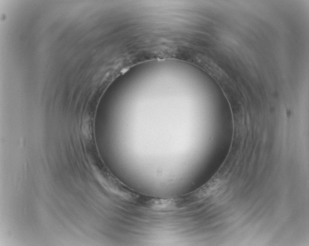 X0000057090088200510071922