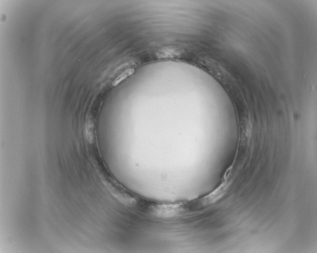 X0000057090090200510071922