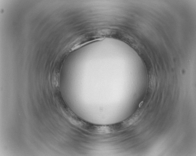 X0000057090091200510071922