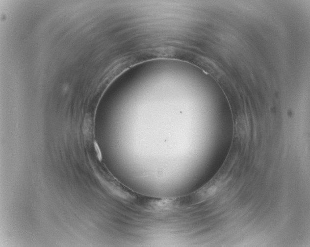 X0000057090092200510071922