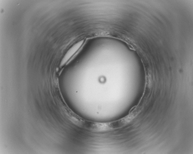 X0000057090093200510071922