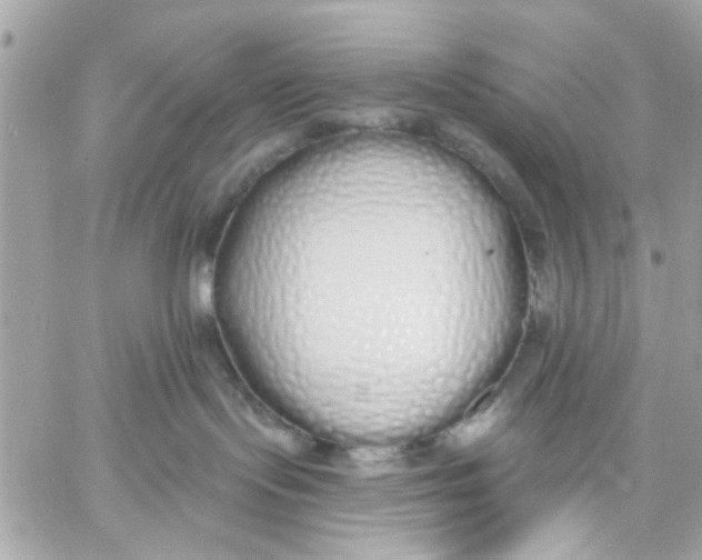 X0000057090095200510071922