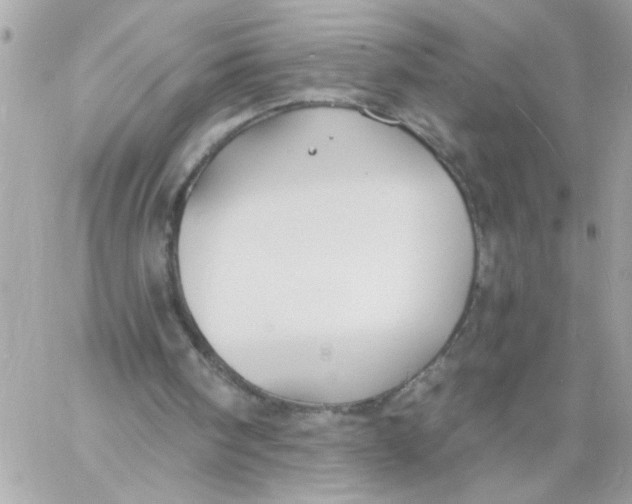 X0000057090098200510071921