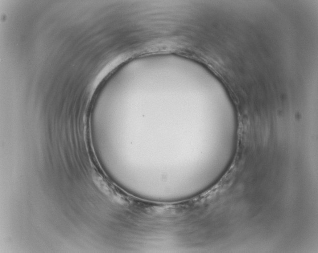 X0000057090100200510071921