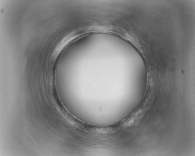 X0000057090103200510071921