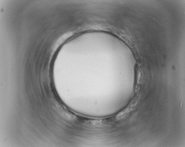 X0000057090104200510071921