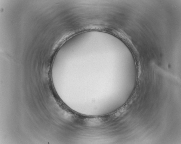 X0000057090106200510071921