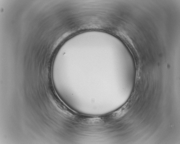 X0000057090108200510071921