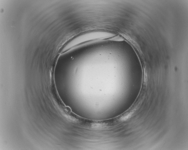 X0000057090109200510071921