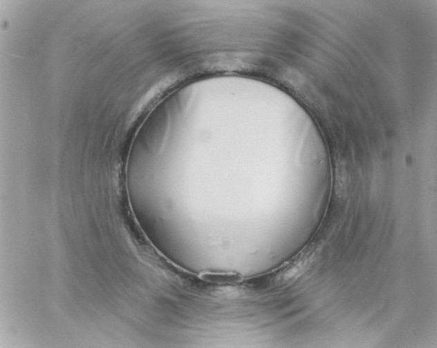 X0000057090111200510071921