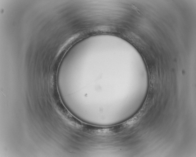 X0000057090112200510071921