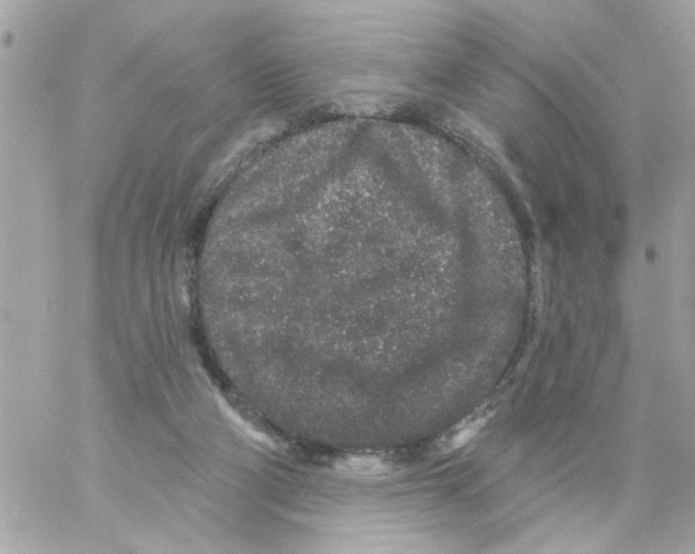 X0000057090114200510071921