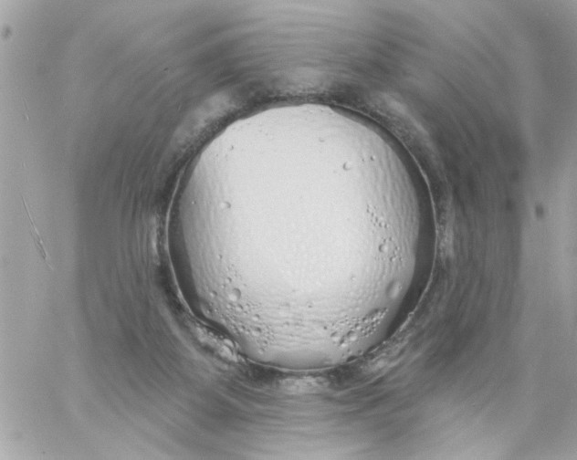 X0000057090115200510071921