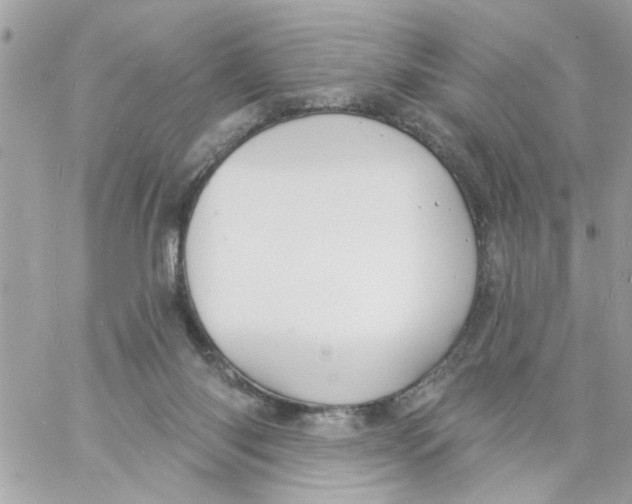 X0000057090118200510071921