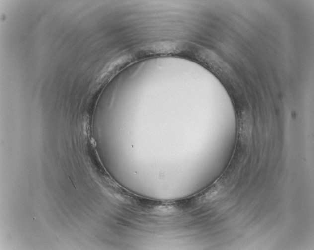 X0000057090119200510071921