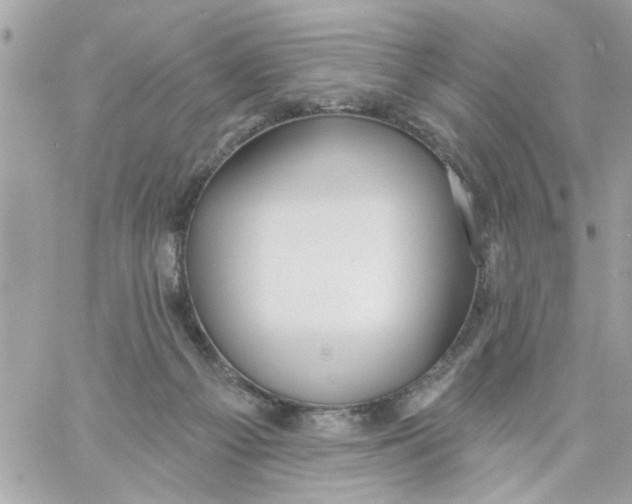 X0000057090121200510071921