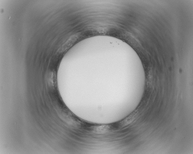 X0000057090122200510071921