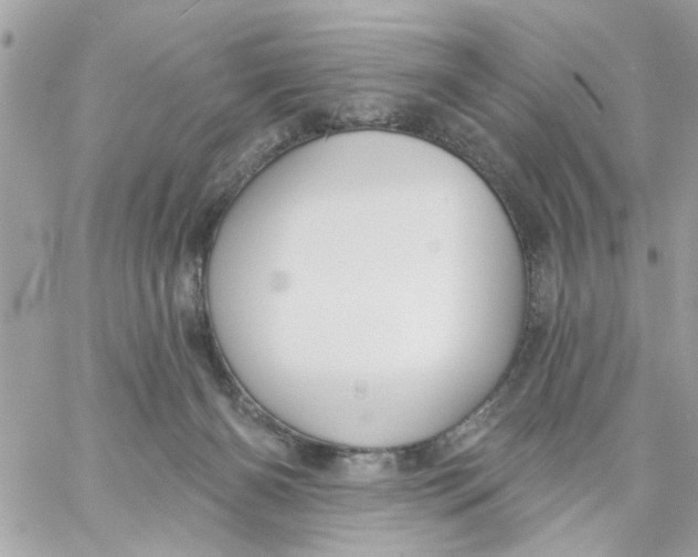 X0000057090126200510071921