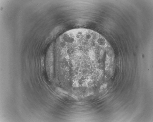 X0000057090127200510071921