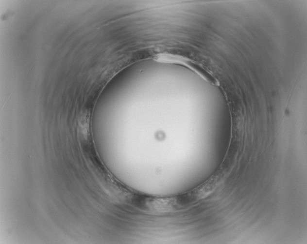 X0000057090129200510071921