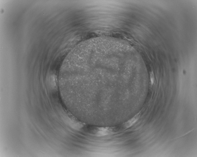 X0000057090130200510071921