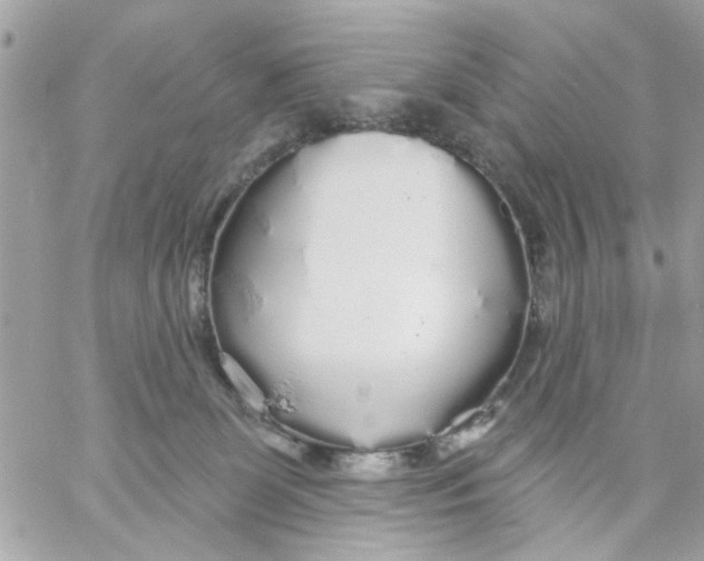 X0000057090131200510071921