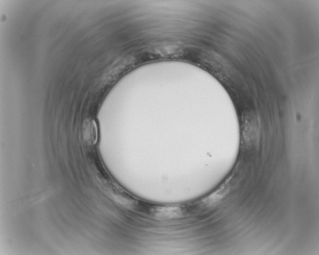 X0000057090132200510071921