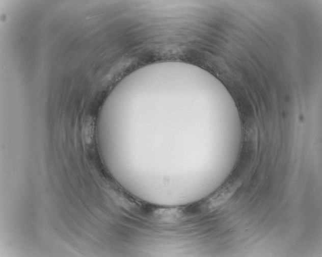 X0000057090133200510071921