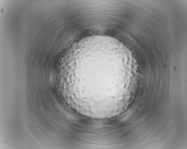 X0000057090134200510071921