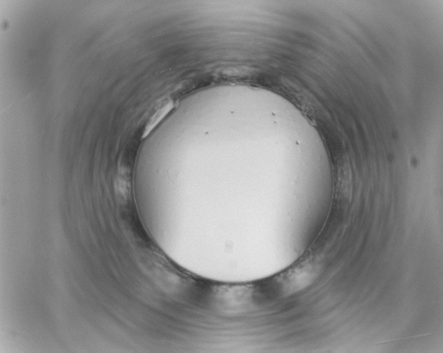 X0000057090135200510071921