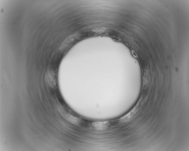 X0000057090136200510071921