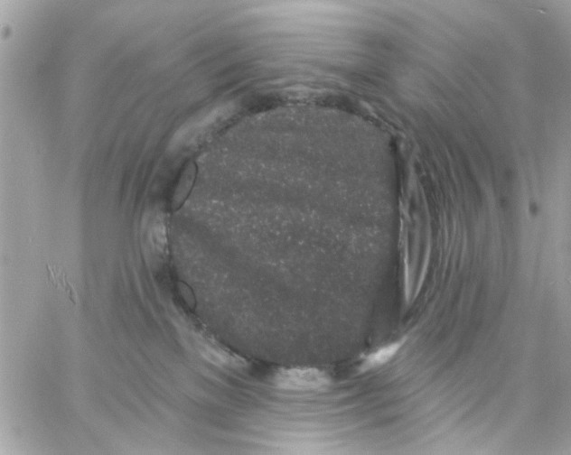 X0000057090137200510071921