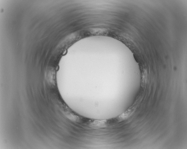 X0000057090138200510071921