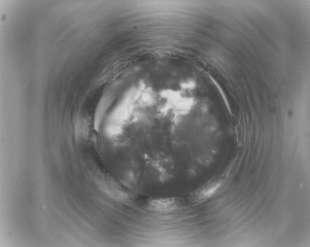 X0000057090139200510071921