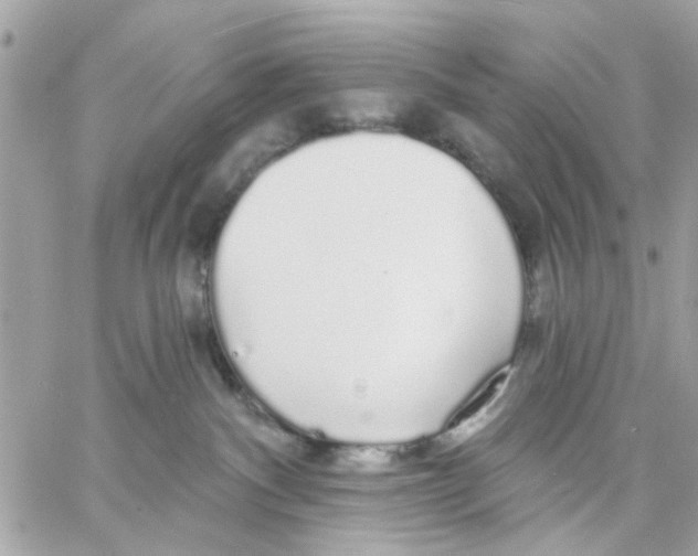 X0000057090140200510071921